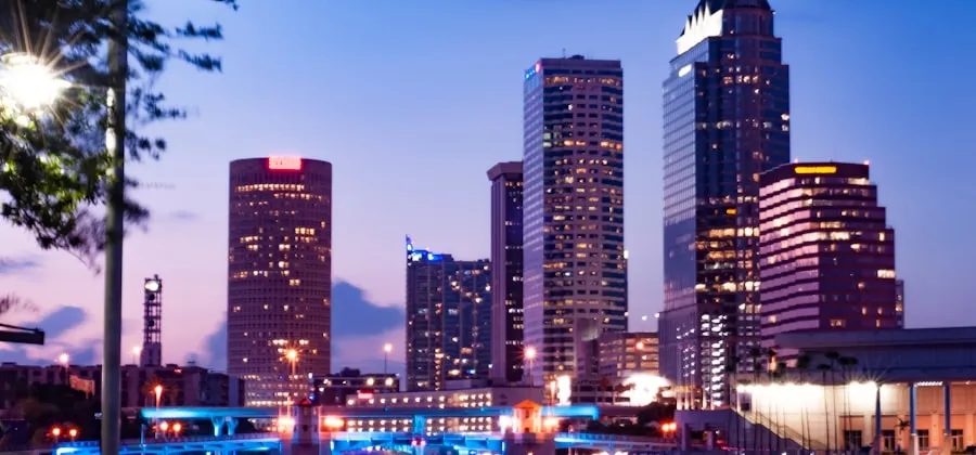 Tampa at golden hour